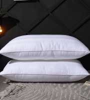 Micro fiber Pillow 1 pis